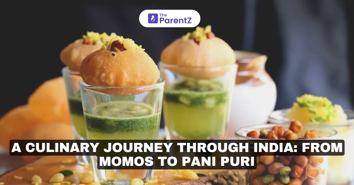 A Culinary Journey Through India: From Momos to Pani Puri