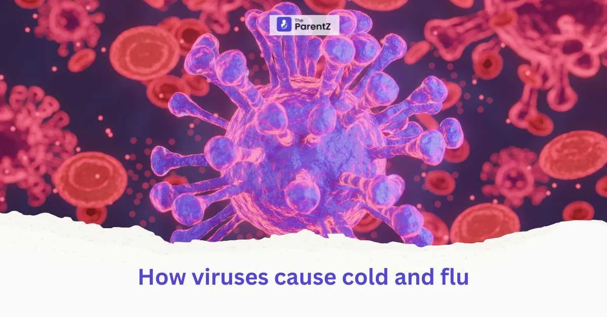How viruses cause cold and flu