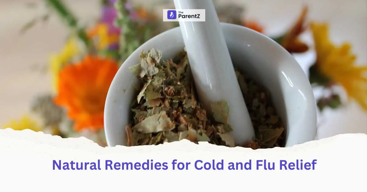 Natural Remedies for Cold and Flu Relief