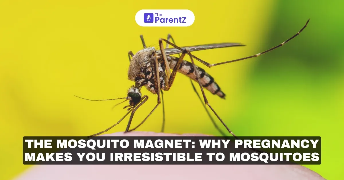 The Mosquito Magnet: Why Pregnancy Makes You Irresistible to Mosquitoes
