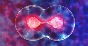 Top Five Organizations for Stem Cell Research and Banking in India