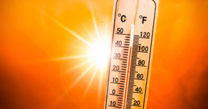 Recognizing Heat Stroke: Essential Summer Knowledge for Parents