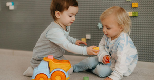 Navigating the "Everything is Mine!" Stage: Sharing and Early Social Skills
