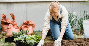 Environment Day Detox: Removing Harmful Substances for a Safer Home