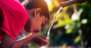 Hidden Hazards: Spotting Everyday Toxins Affecting Your Child’s Development
