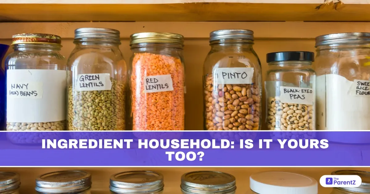 Ingredient Household: Is It Yours Too?