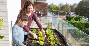 Summer Gardening with Kids: Growing Healthy Habits and Food