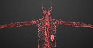 The Importance of Lymphatic Health in Children: Recognizing Signs and Supporting Drainage
