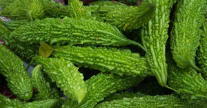The Role of Bitter Foods in Developing Palates