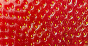 The Sensory Aspects of Food Beyond Taste and Texture