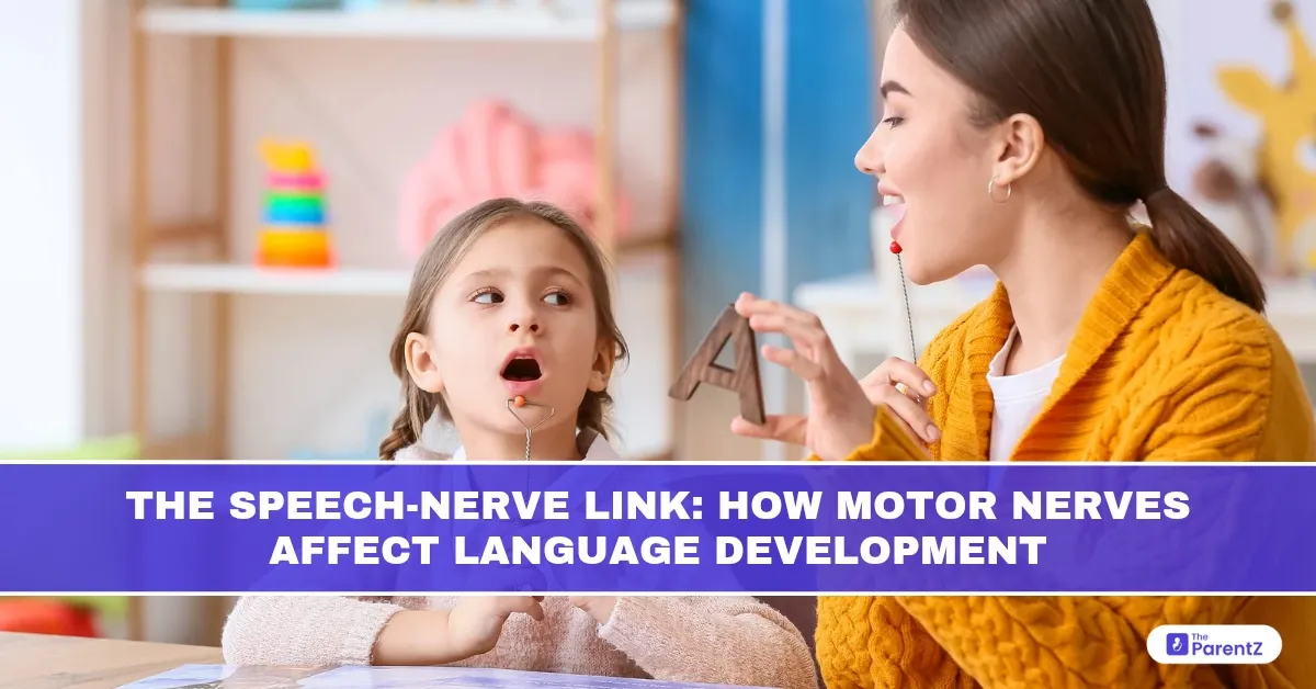 The Speech-Nerve Link: How Motor Nerves Affect Language Development