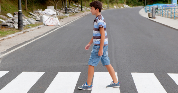 Zebra Crossings and Traffic Lights: Your Secret Guide to Staying Safe on the Road