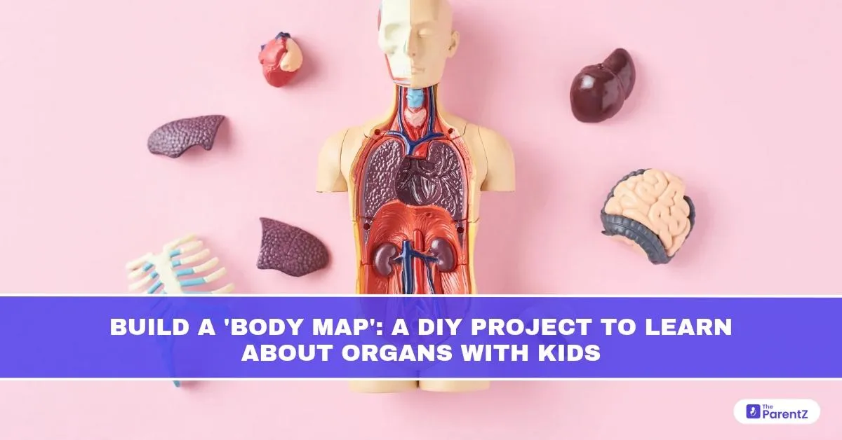 Build a 'Body Map': A DIY Project to Learn About Organs With Kids