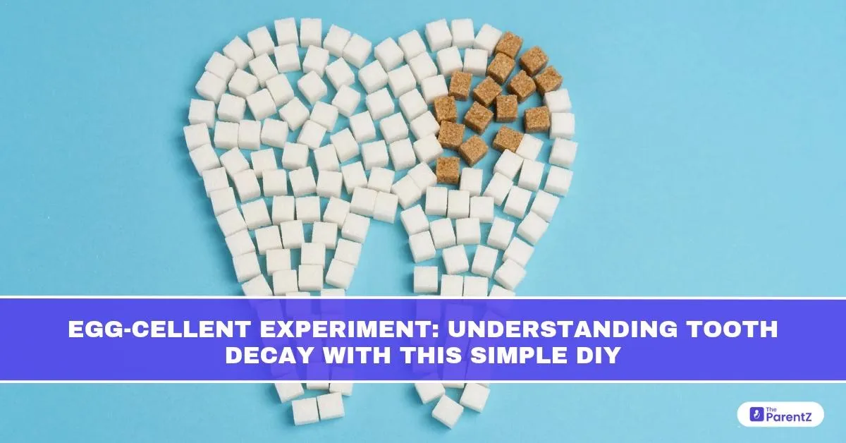 Egg-cellent Experiment: Understanding Tooth Decay With This Simple DIY