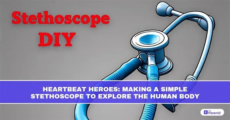 Heartbeat Heroes: Making A Simple Stethoscope To Explore The Human Body