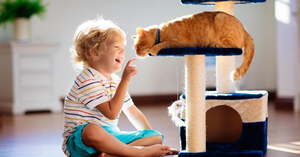Pet-Related Infections in Children: What Parents Need to Know