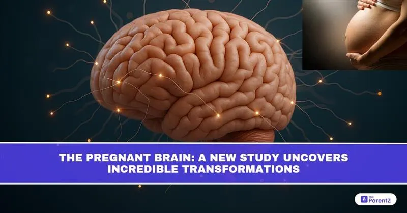 The Pregnant Brain: A New Study Uncovers Incredible Transformations