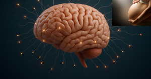 The Pregnant Brain: A New Study Uncovers Incredible Transformations