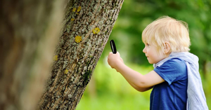 Eco-Anxiety in Children: How Climate Worries Are Impacting Young Minds