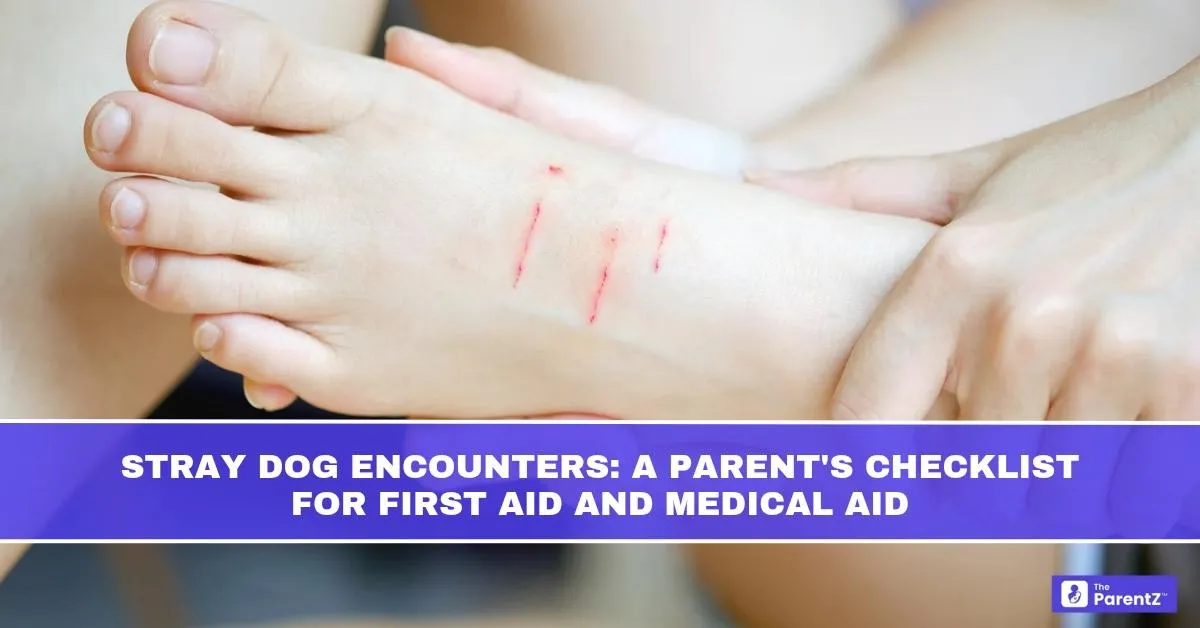 Stray Dog Encounters: A Parent’s Checklist for First Aid and Medical Aid
