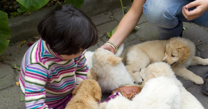 The Paw-sitive Bond: How a Friendly Stray Can Teach Your Child Compassion
