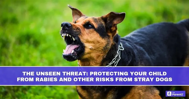 The Unseen Threat: Protecting Your Child from Rabies and Other Risks from Stray Dogs