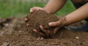 Unseen Germs in the Ground: Soil Infections in Children