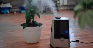 Air Purifiers for Kids: Which Features Matter and What Experts Warn