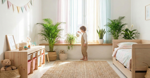 Planting the Future: 5 Air-Purifying Plants Safe for Kids’ Rooms