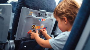 IndiGo Flight Sticker Drama: What It's Really Teaching Our Kids About Public Spaces