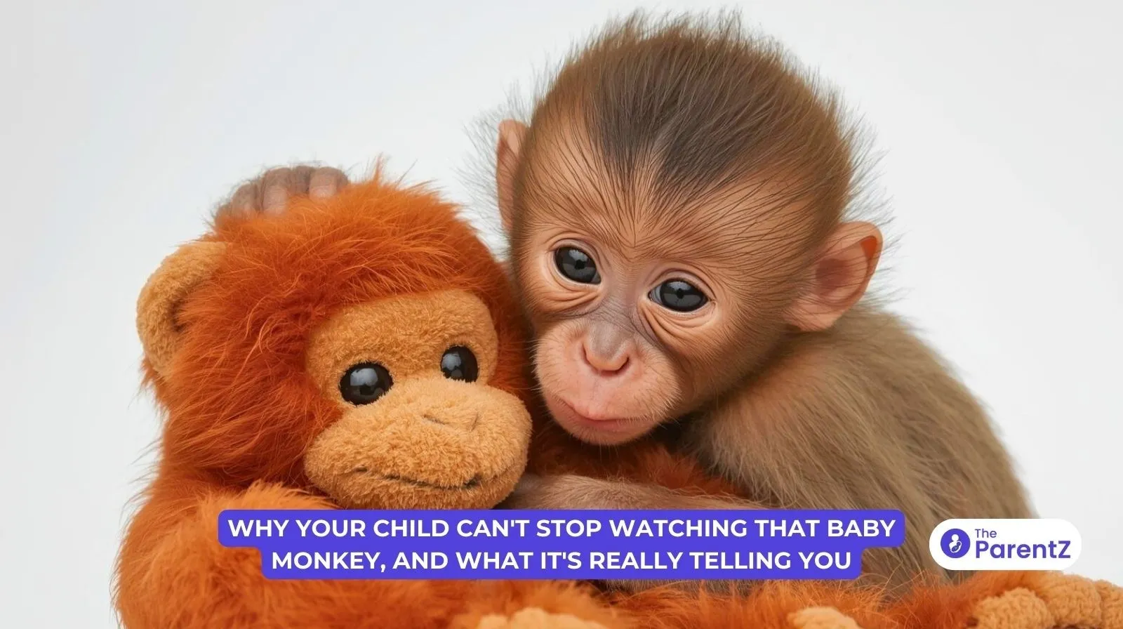 Why Your Child Can't Stop Watching That Baby Monkey, And What It's Really Telling You