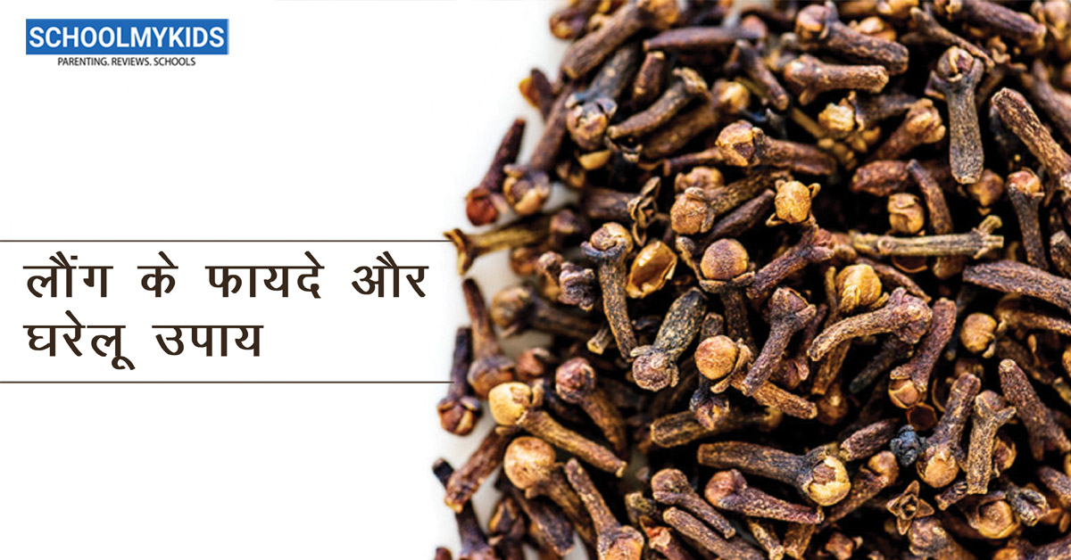 लौंग के फायदे और घरेलू उपाय – Health Benefits Of Cloves in Hindi