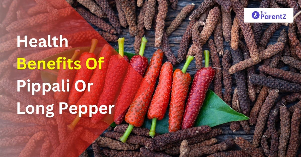 Pippali (Indian Long Pepper): Health Benefits, Uses, Side Effects