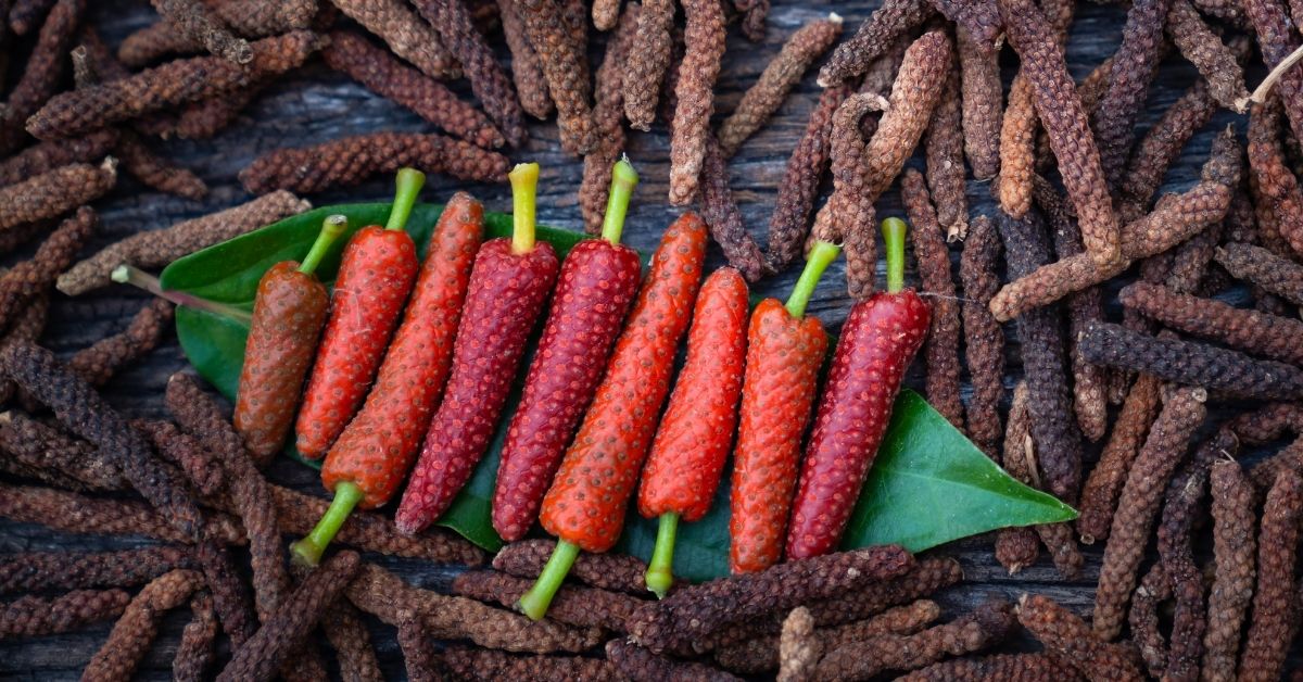 Pippali (Indian Long Pepper): Health Benefits, Uses, Side Effects