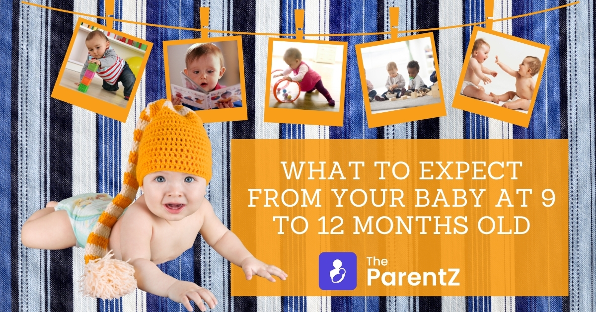 What to Expect from Your Baby at 9 to 12 Months Old