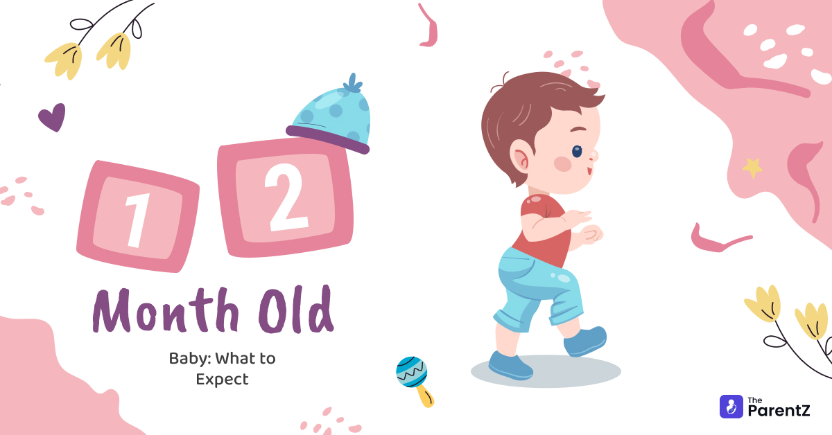 12 Month Old Baby Development and Milestones