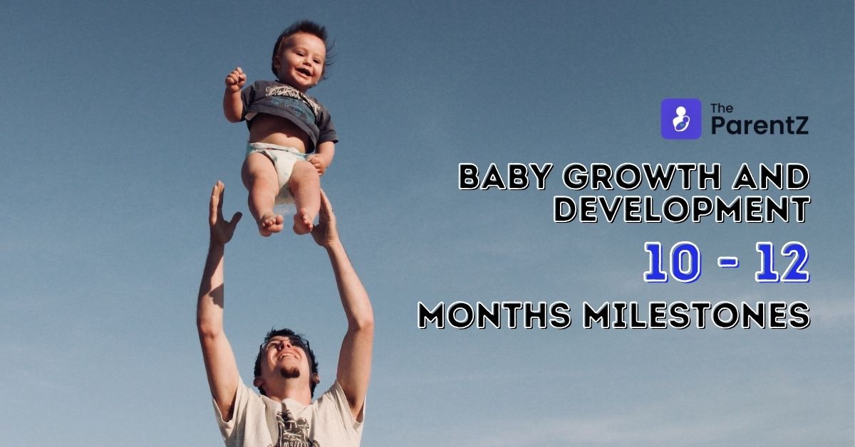 Baby Growth And Development 10- 12 Month milestones