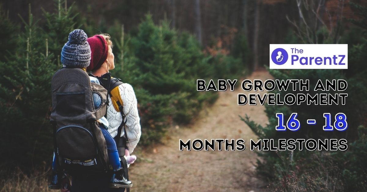 Baby Growth And Development 16- 18 Month Milestones