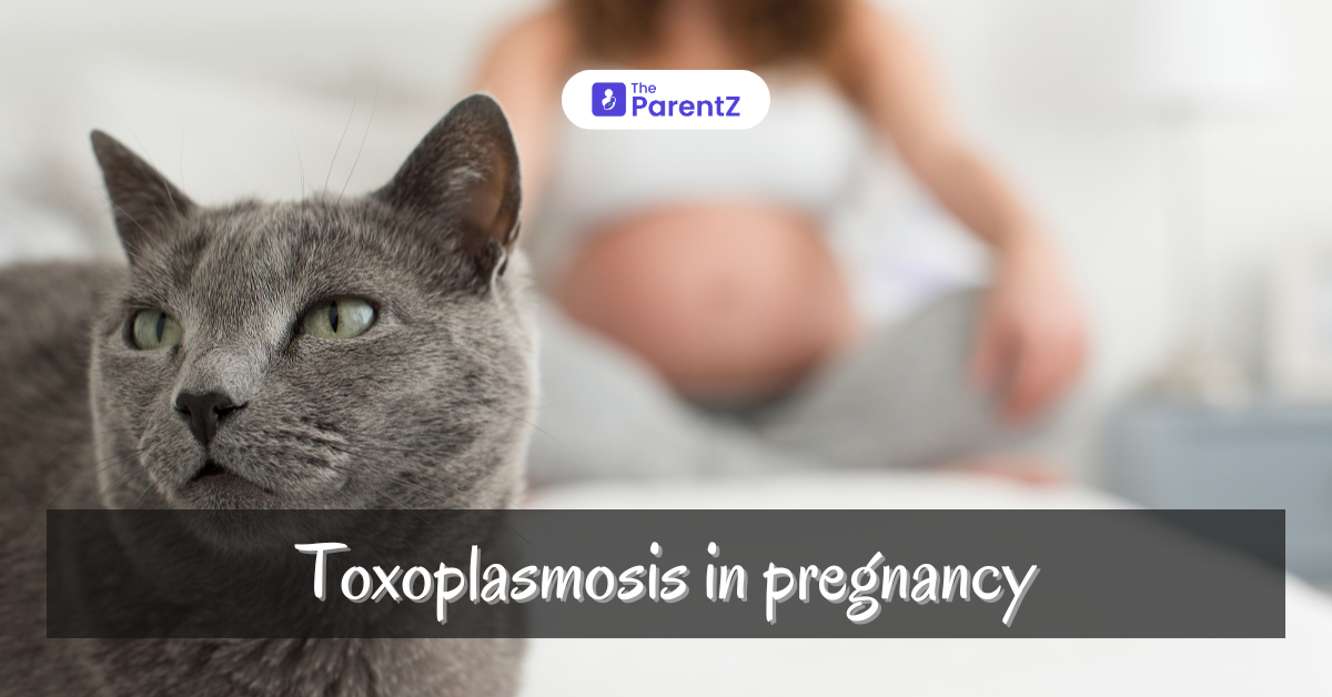Toxoplasmosis in pregnancy