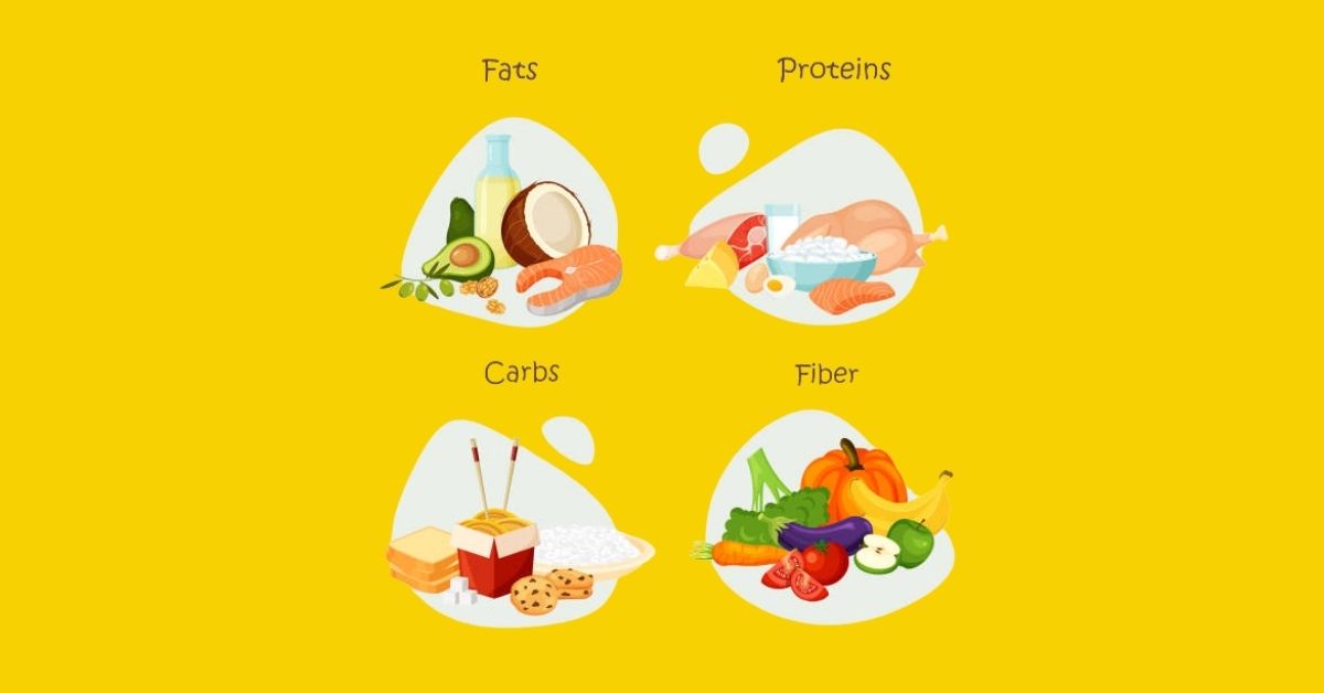 Dietary advice for 12- 24 month old babies - The ParentZ