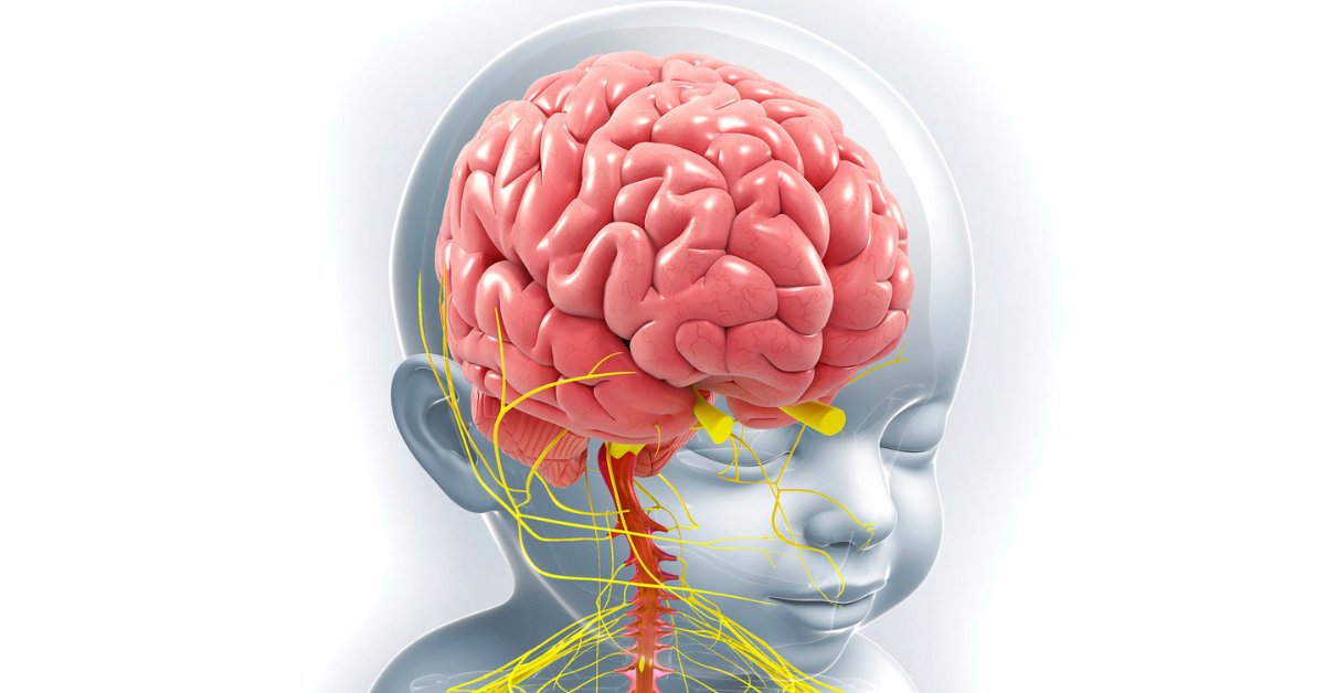 How Does Baby Brain Development Unfold in the First Year? Exploring the Science Behind Early Growth